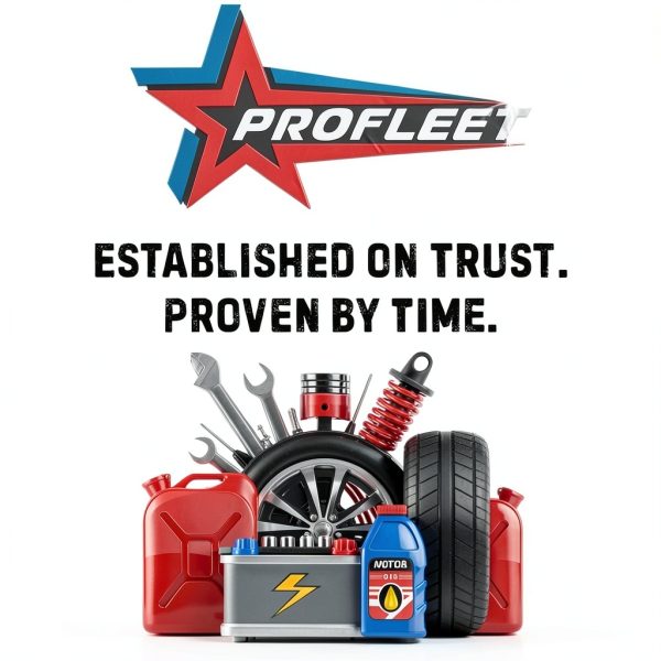 Profleet Heavy Duty Service Chamber Replacement-1
