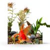 ZRDR Stainless Steel Algae Scraper Aquarium Cleaning Tool for Glass Aquariums, Including Algae Scraper, Sponge Pad, Fish Net, Cleaning Brush, Adjustable Length, Durable, Does Not Hurt The Fish Tank-1