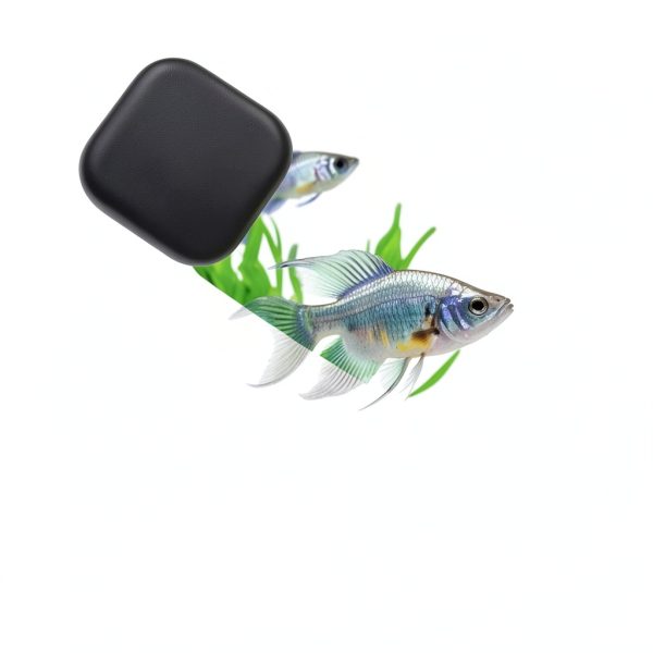 Mini Aquarium Glass Magnetic Cleaner Brush by Novique - 8mm Scrubber-2