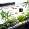 Mini Aquarium Glass Magnetic Cleaner Brush by Novique - 8mm Scrubber-6